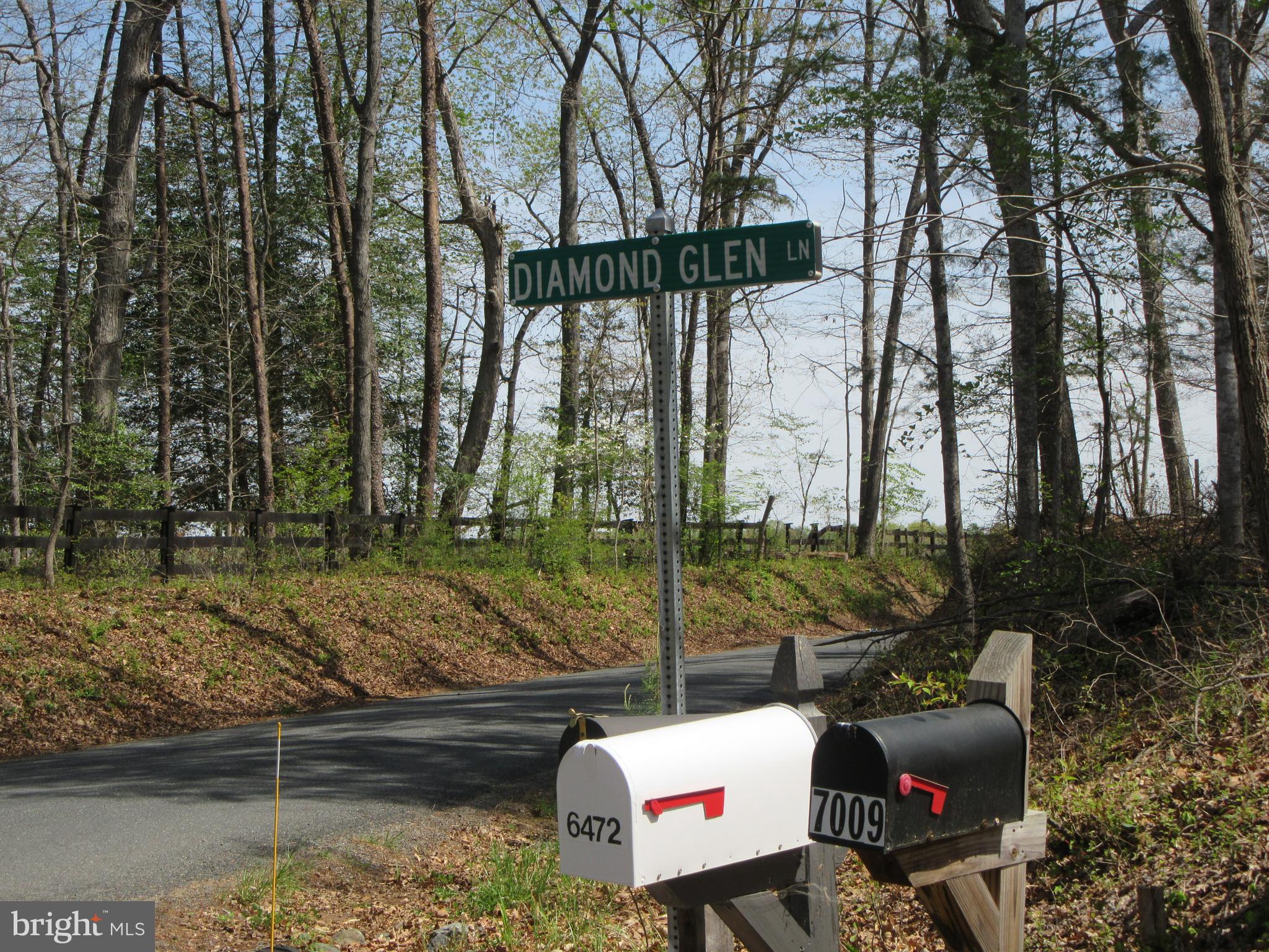 Diamond Glen Old Office Road Locust Grove, VA 22508 - Photo 3 of 11 Gallery Image 3