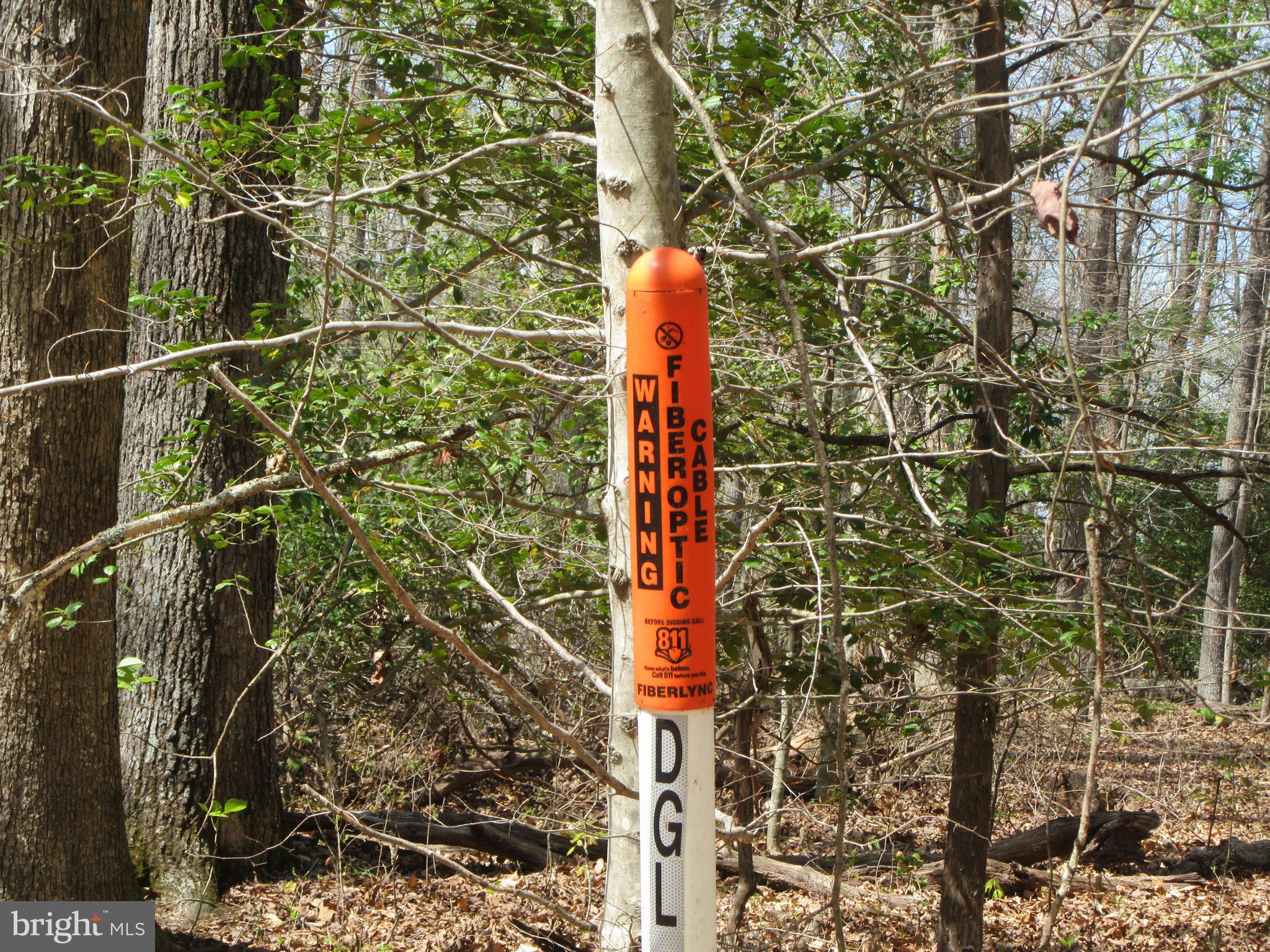 Diamond Glen Old Office Road Locust Grove, VA 22508 - Photo 4 of 11 Gallery Image 4