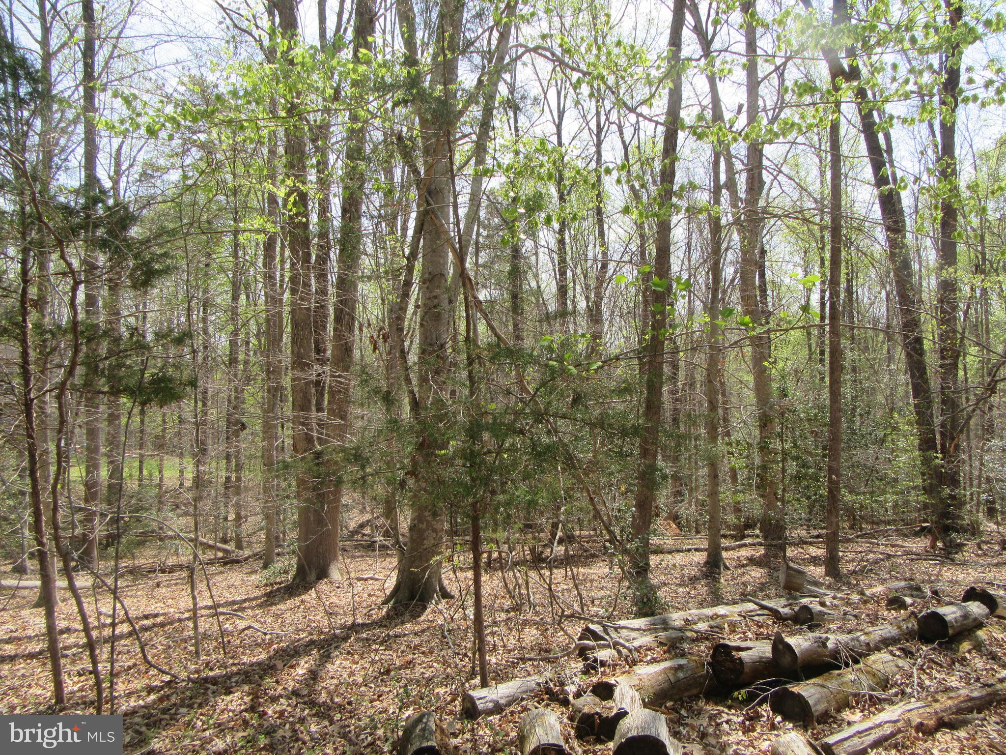 Diamond Glen Old Office Road Locust Grove, VA 22508 - Photo 8 of 11 Gallery Image 8