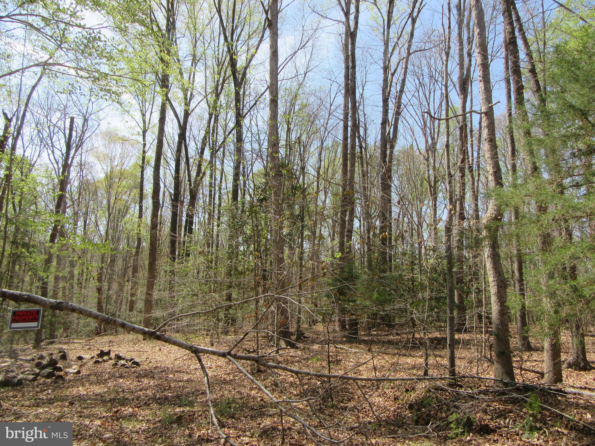 Diamond Glen Old Office Road Locust Grove, VA 22508 - Photo 9 of 11 Gallery Image 9