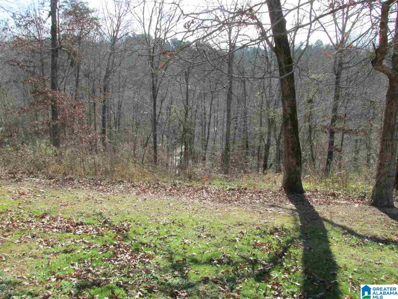 178 Jones Chapel Road Springville, AL 35146 - Photo 13 of 13