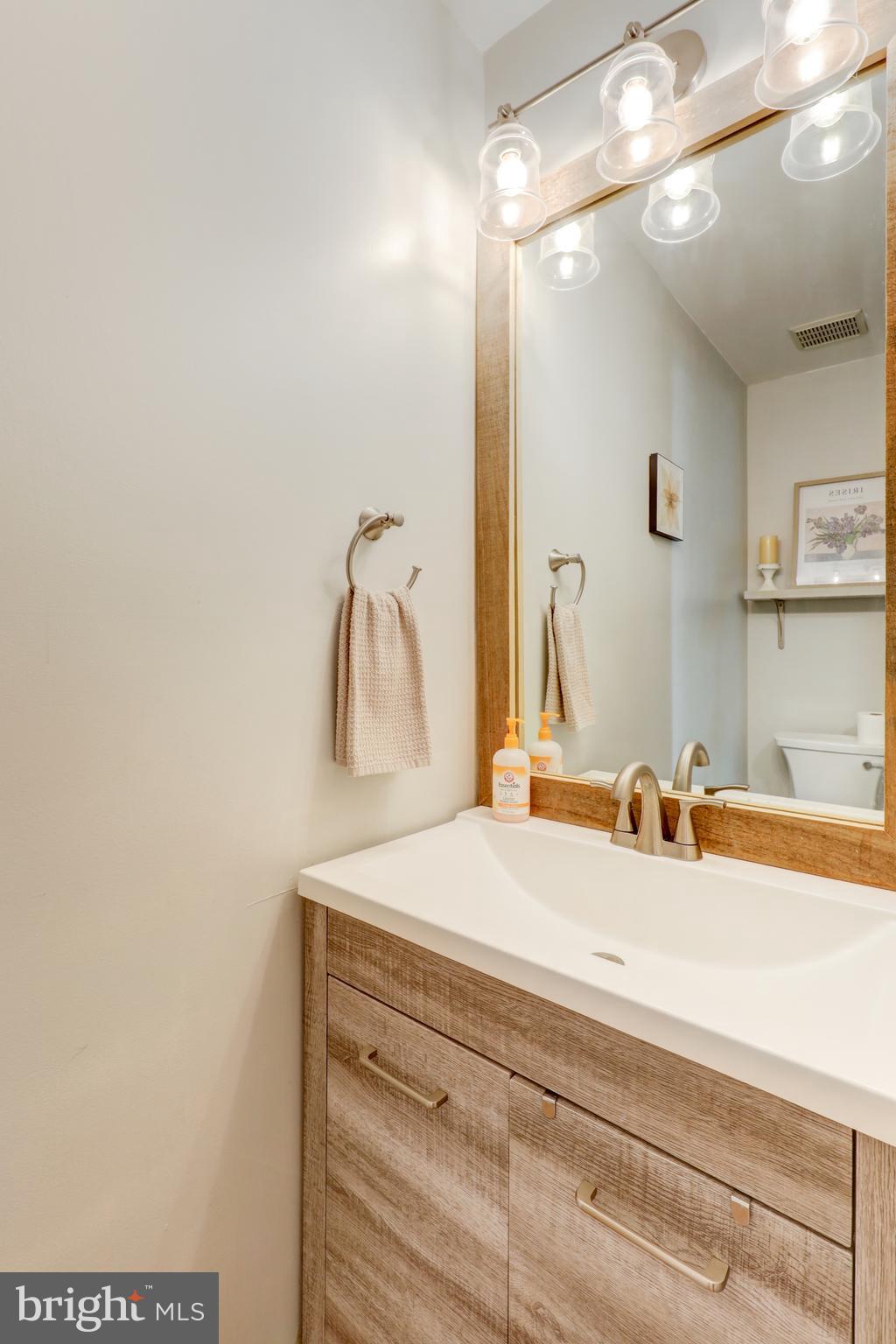 165 Oakmont Court Reading, PA 19607 - Photo 22 of 40 a bathroom with a sink and a mirror