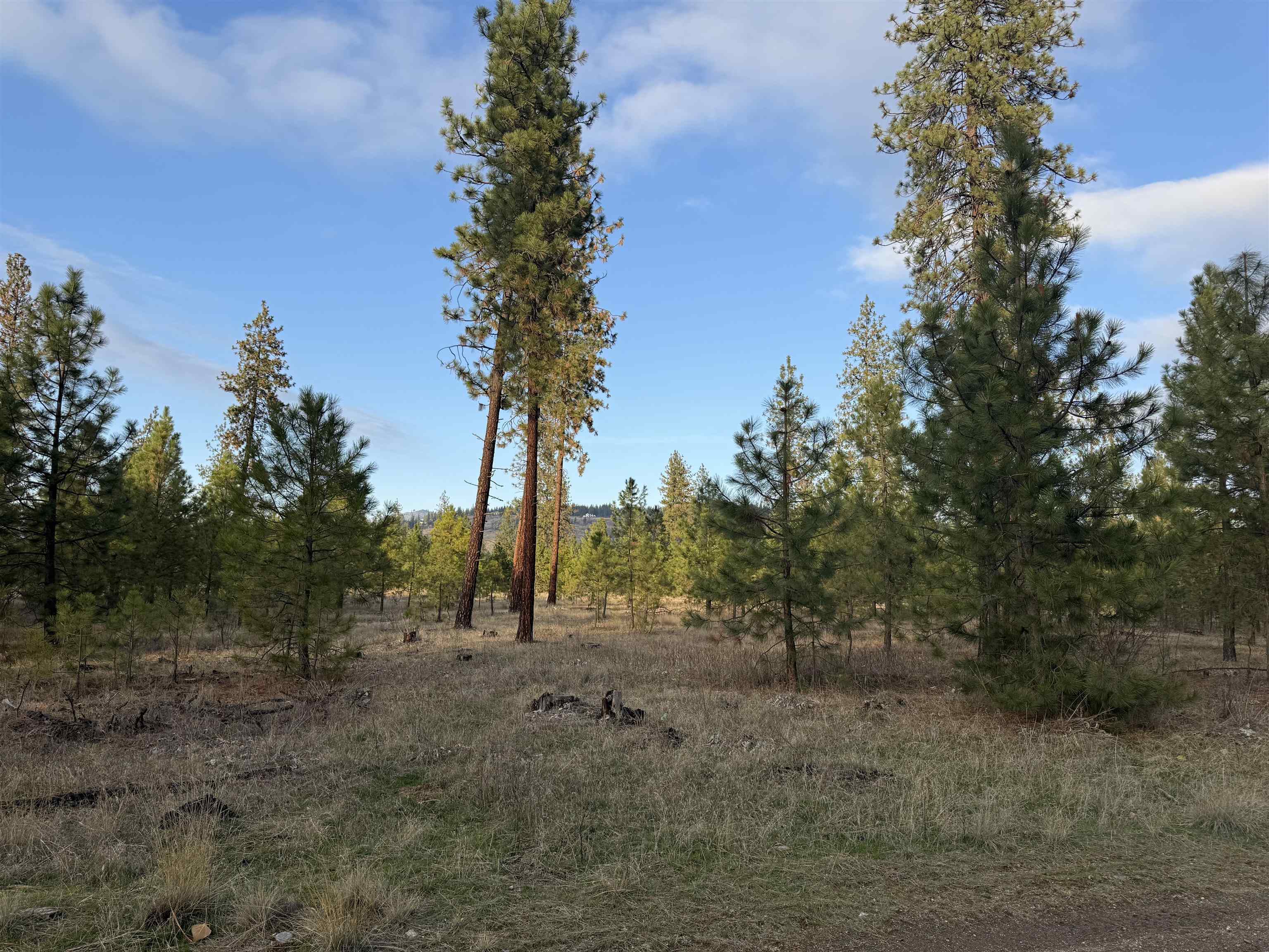 6356 Sundown Road Nine Mile Falls, WA 99026 - Photo 33 of 36