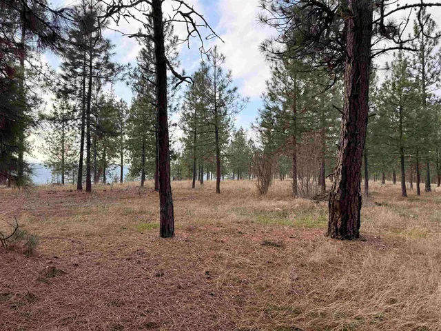 $349,000 | 6356 Sundown Road, Nine Mile Falls, WA 99026