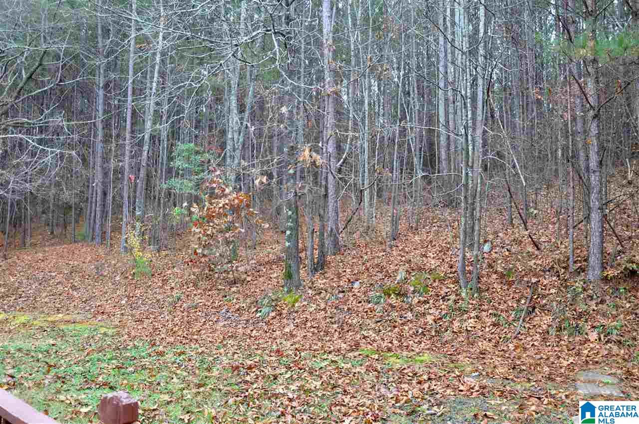 2109 Constellation Drive Alpine, AL 35014 - Photo 7 of 30
