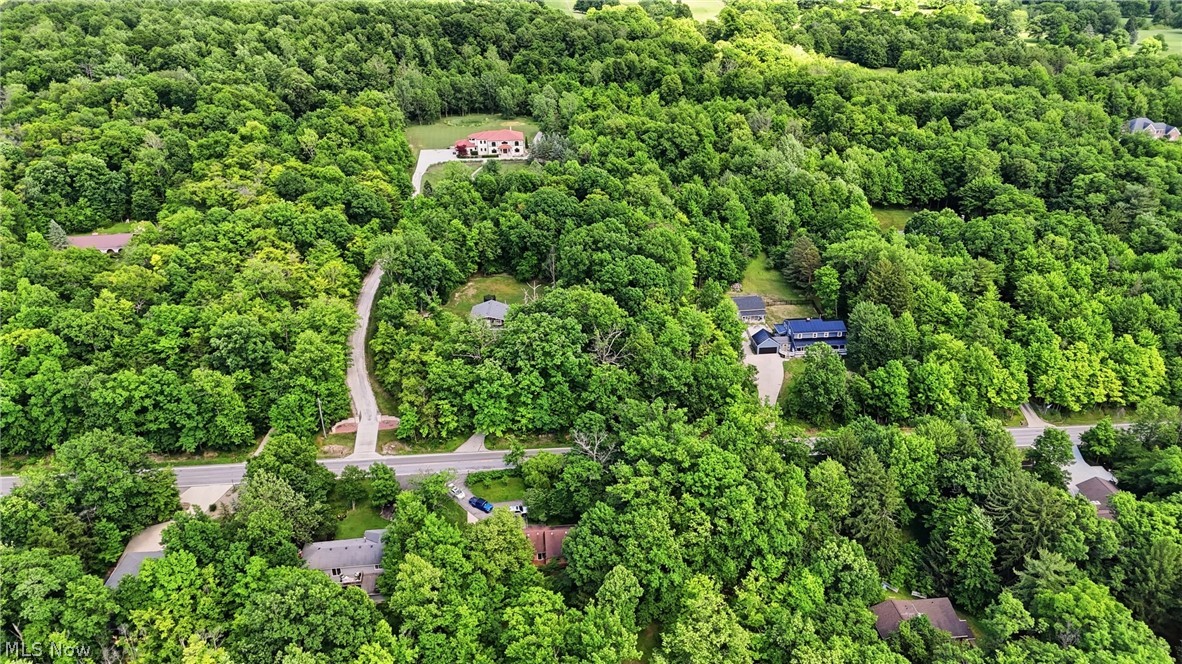 Expansive wooded landscape with multiple properties and established roads