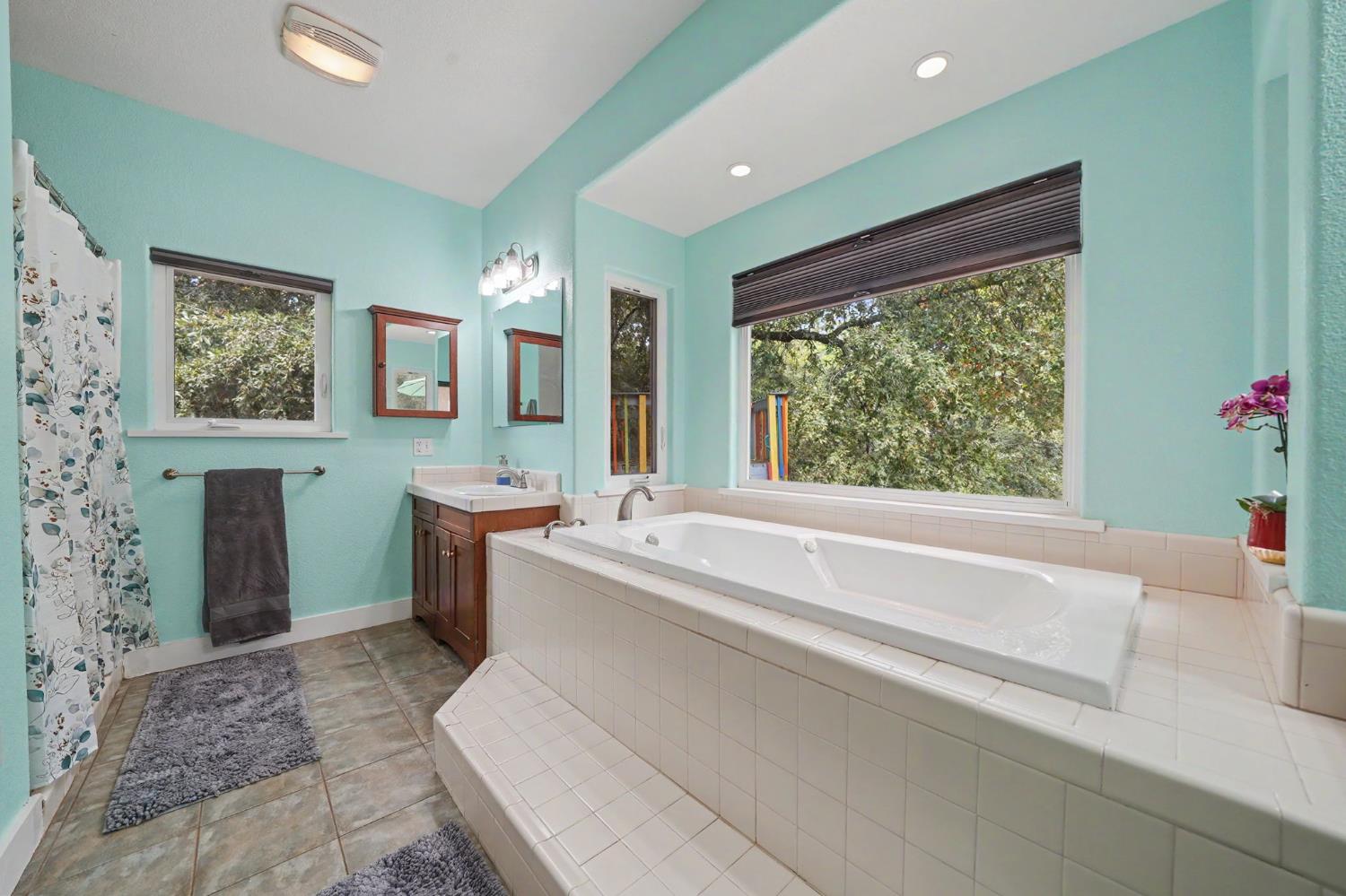 18461 Shake Ridge Road Sutter Creek, CA 95685 - Photo 38 of 77 Primary bedroom bathroom.
