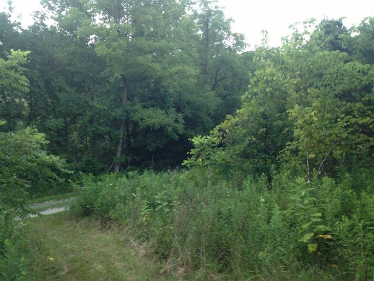 2815 Arnolds Creek Road Dry Ridge, KY 41035 - Photo 15 of 16