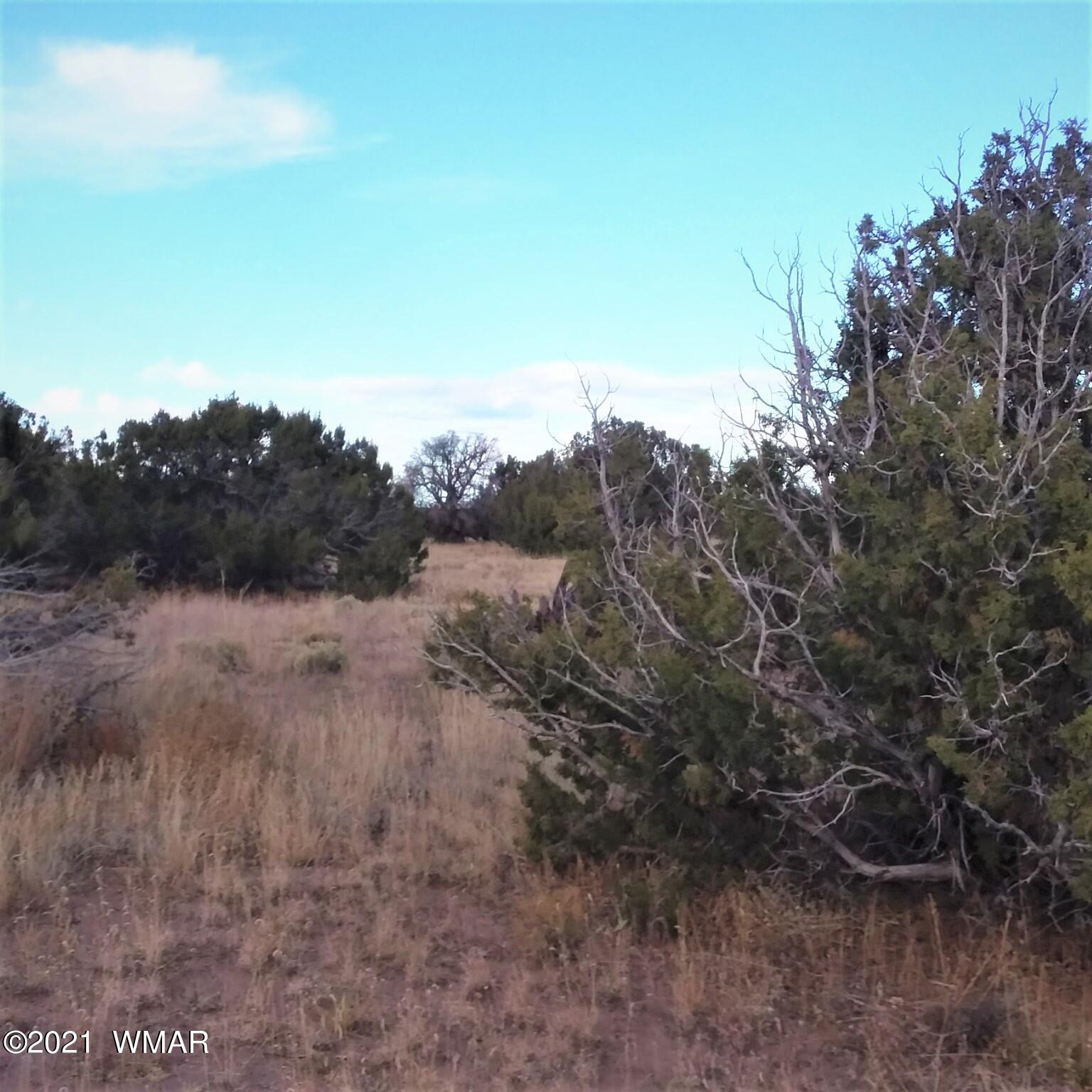 St-johns Az 85936 Ranch St. Johns, AZ 85936 - Photo 2 of 9