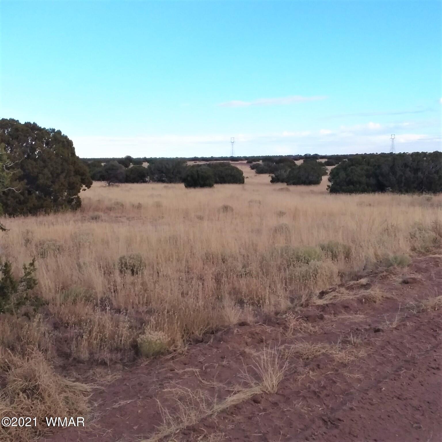 St-johns Az 85936 Ranch St. Johns, AZ 85936 - Photo 5 of 9