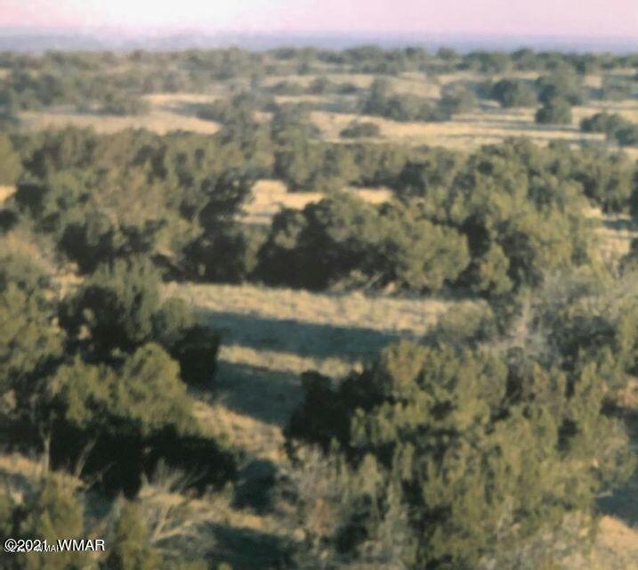 St-johns Az 85936 Ranch St. Johns, AZ 85936 - Photo 6 of 9