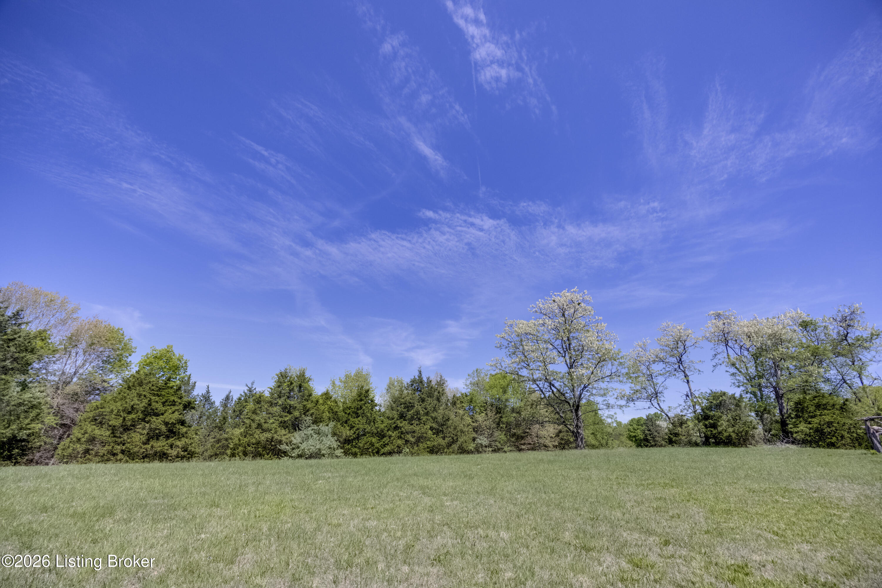 2305 Reuben Smith Road Loretto, KY 40037 - Photo 68 of 91 Clearing at top of ridge