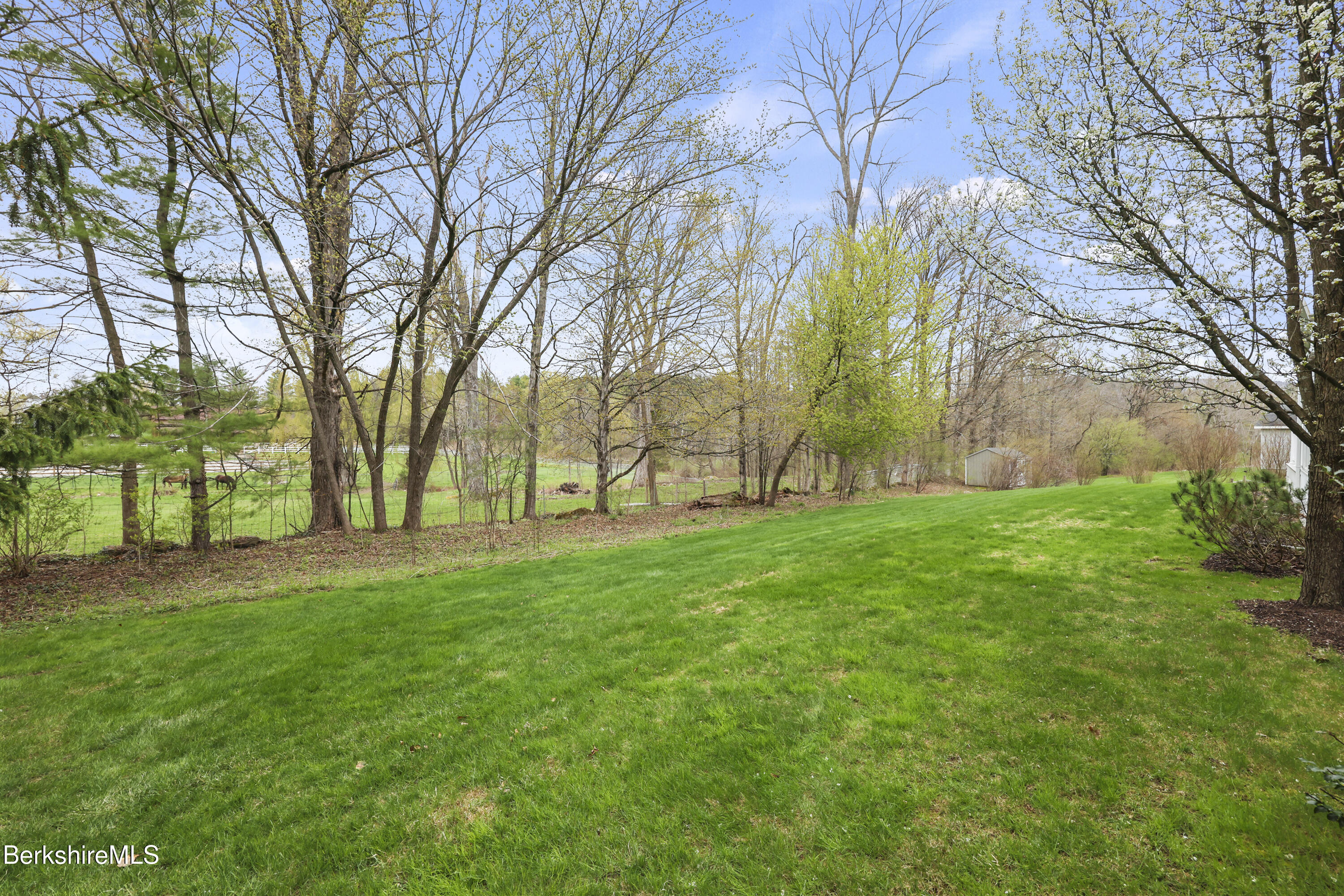 31 Fox Run Lee, MA 01238 - Photo 36 of 37 305 Back Yard