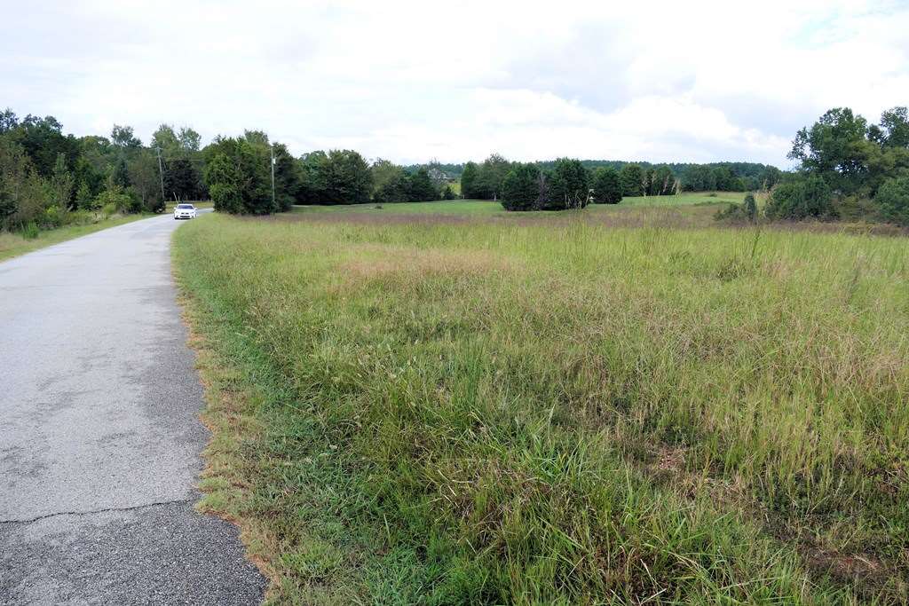 323 Grindall Ford Road Pacolet, SC 29372 - Photo 2 of 3