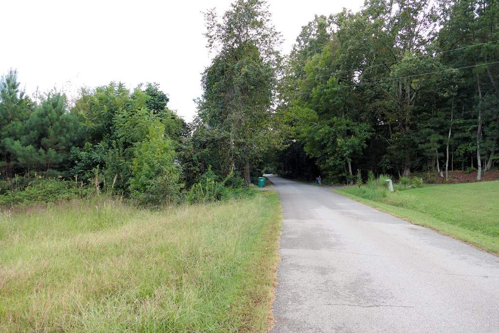 323 Grindall Ford Road Pacolet, SC 29372 - Photo 3 of 3