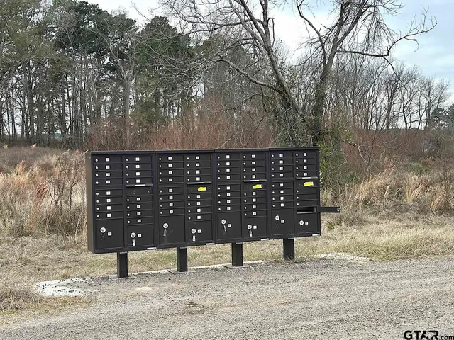 a view of a wooden bench