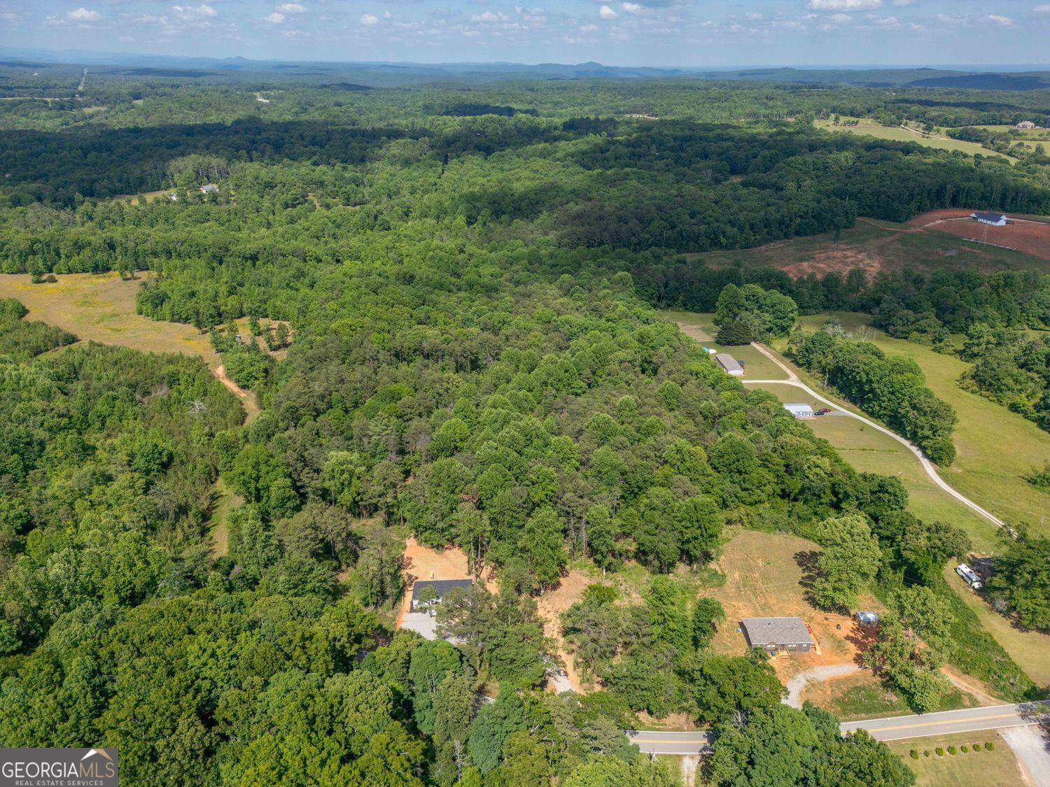 734 Hollywood Church Road Clarkesville, GA 30523 - Photo 39 of 49 a view of a lush green forest with lots of trees
