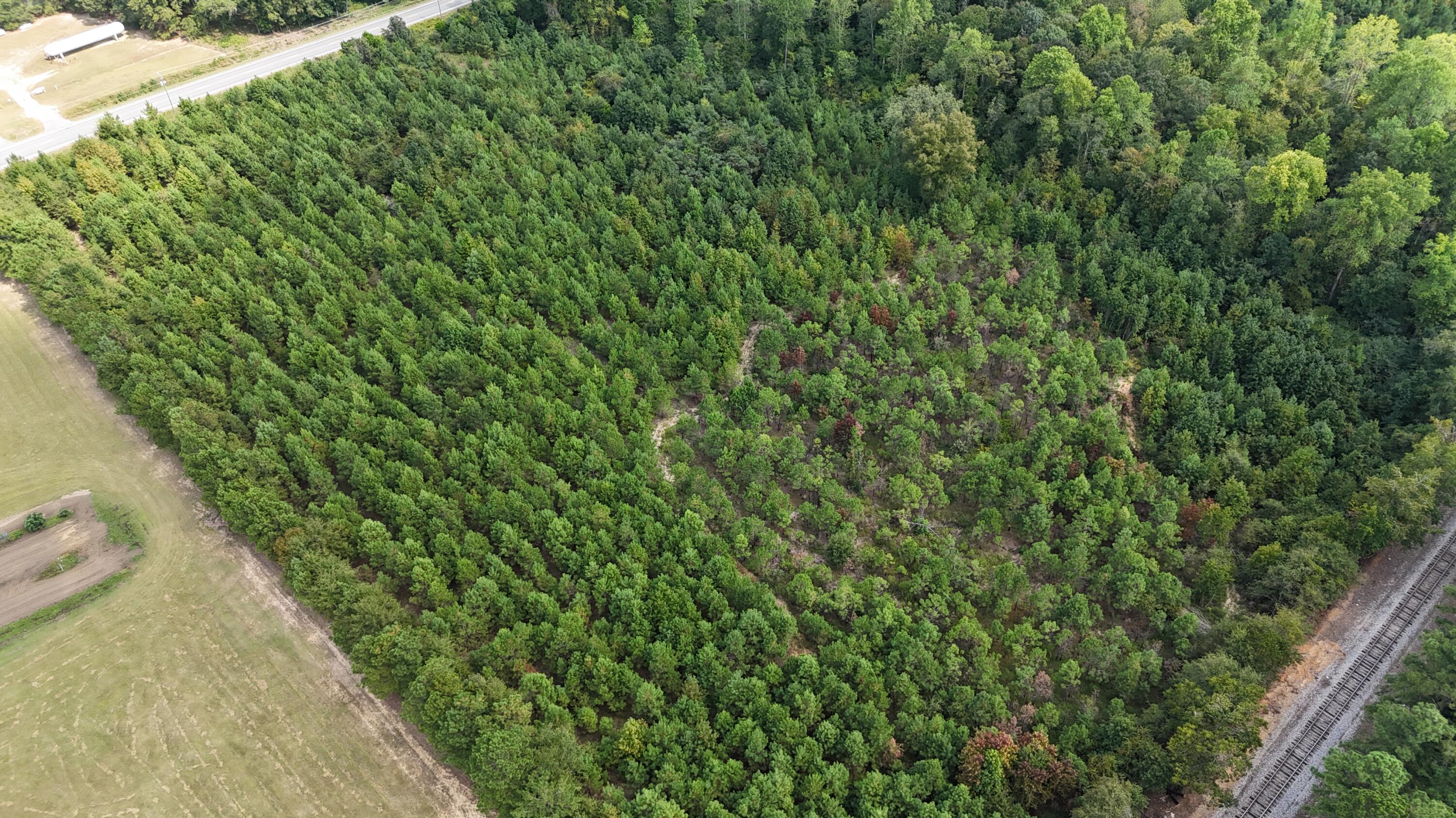 0 Old Highway, Unit 6 Santee, SC 29142 - Photo 3 of 9 DJI_20250919141241_0223_D