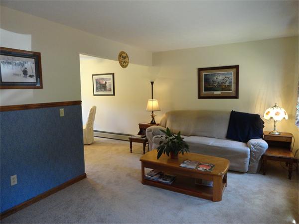 156 Fitchburg Road Townsend, MA 01469 - Photo 8 of 17 a living room with furniture and a potted plant