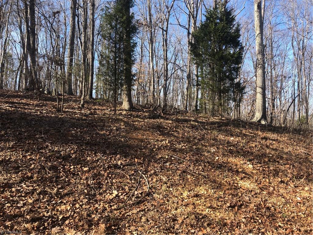 1 Fox Run View Lane Trinity, NC 27370 - Photo 2 of 2 Gallery Image 2