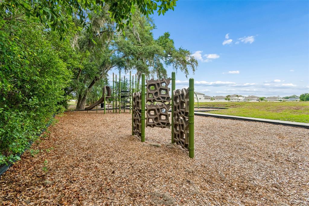 6065 Spring Crayfish Avenue New Port Richey, FL 34653 - Photo 52 of 61