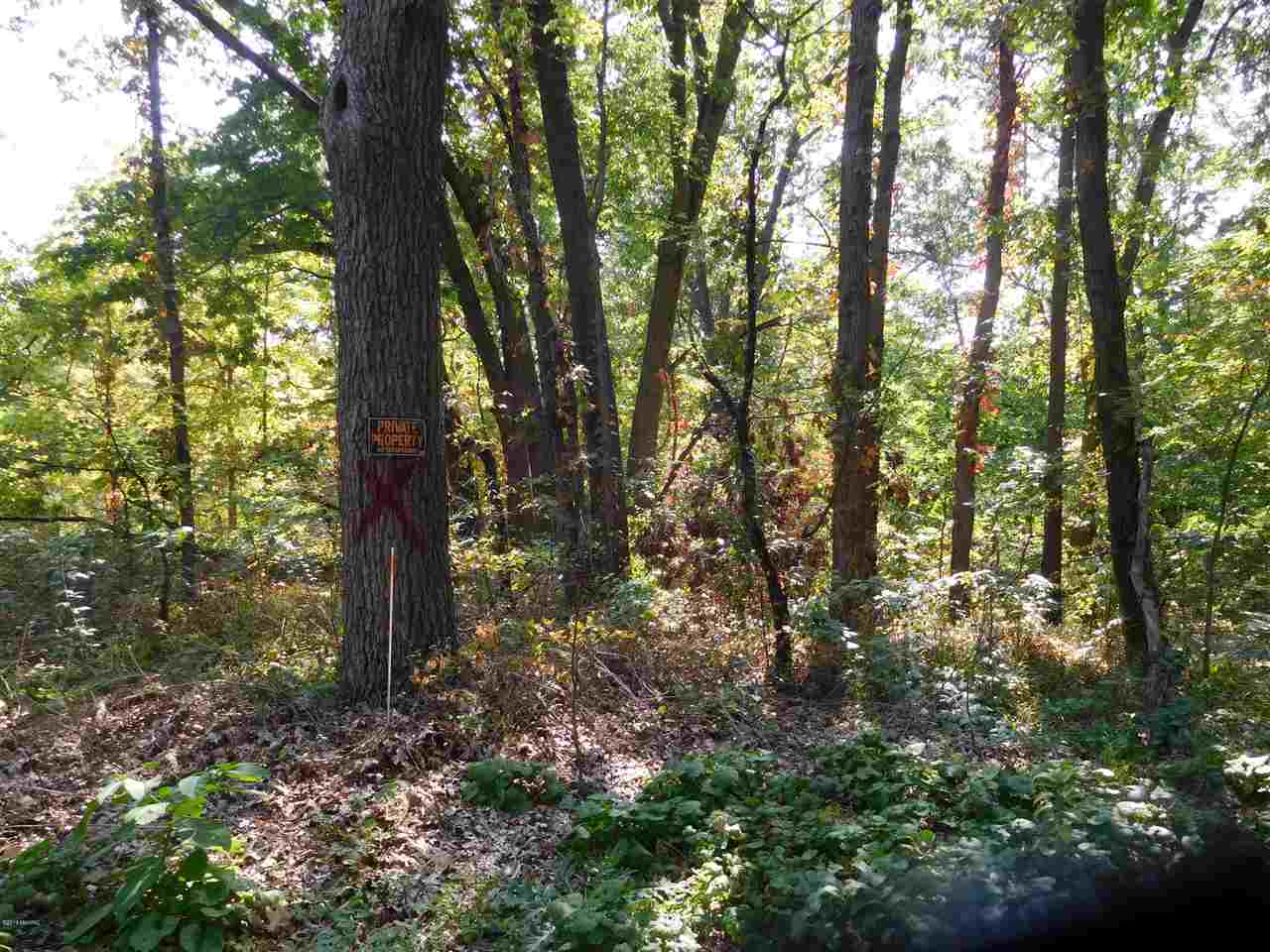 Parcel C 76th Avenue Decatur, MI 49045 - Photo 9 of 15