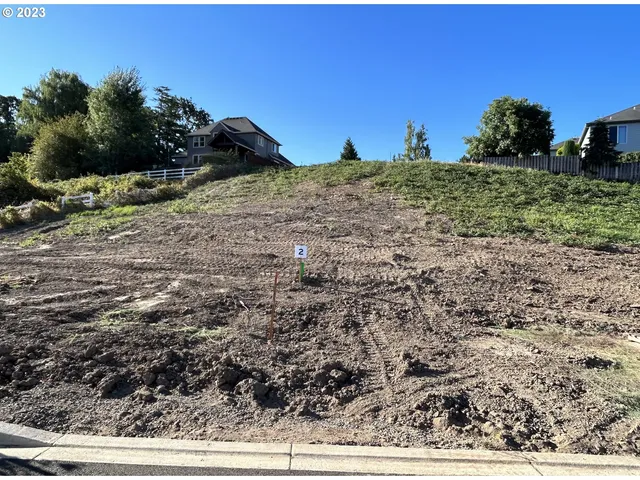 a view of a dry yard