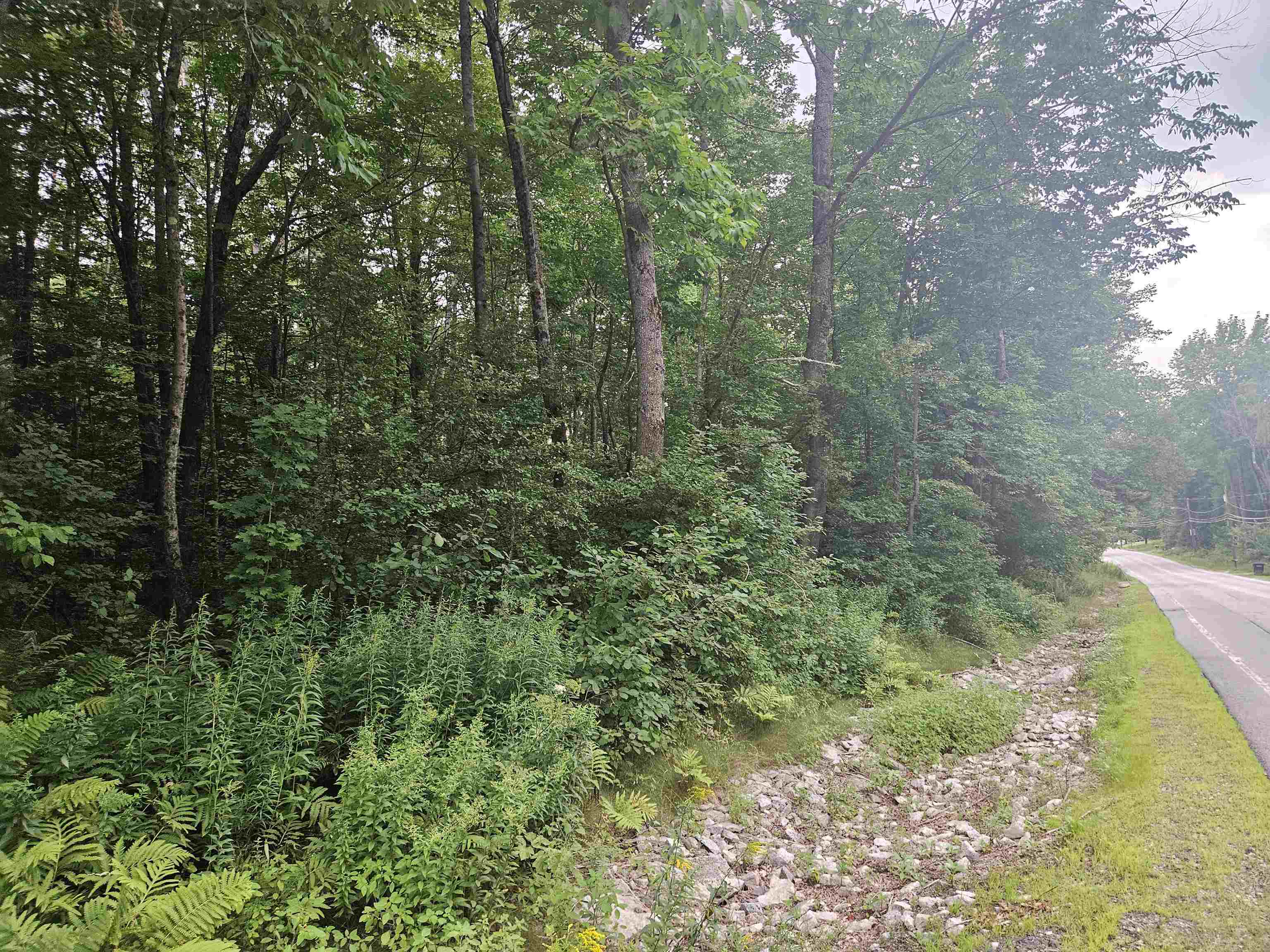 Lot 3.1 Off Parker Road Lisbon, NH 03585 - Photo 3 of 23 Gallery Image 3