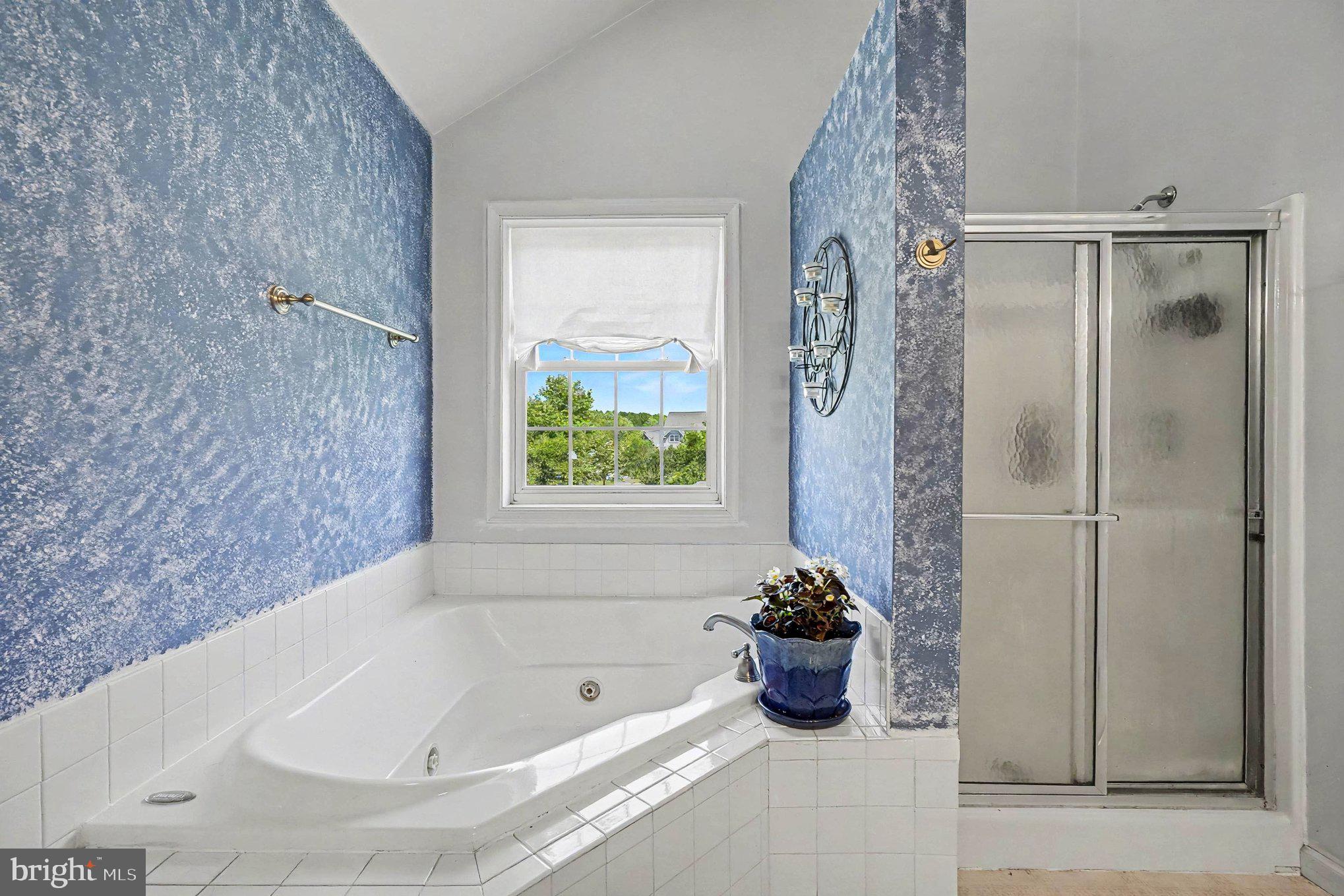 64 Open Meadow Court Elkton, MD 21921 - Photo 31 of 57 a bathroom with a tub and potted plant