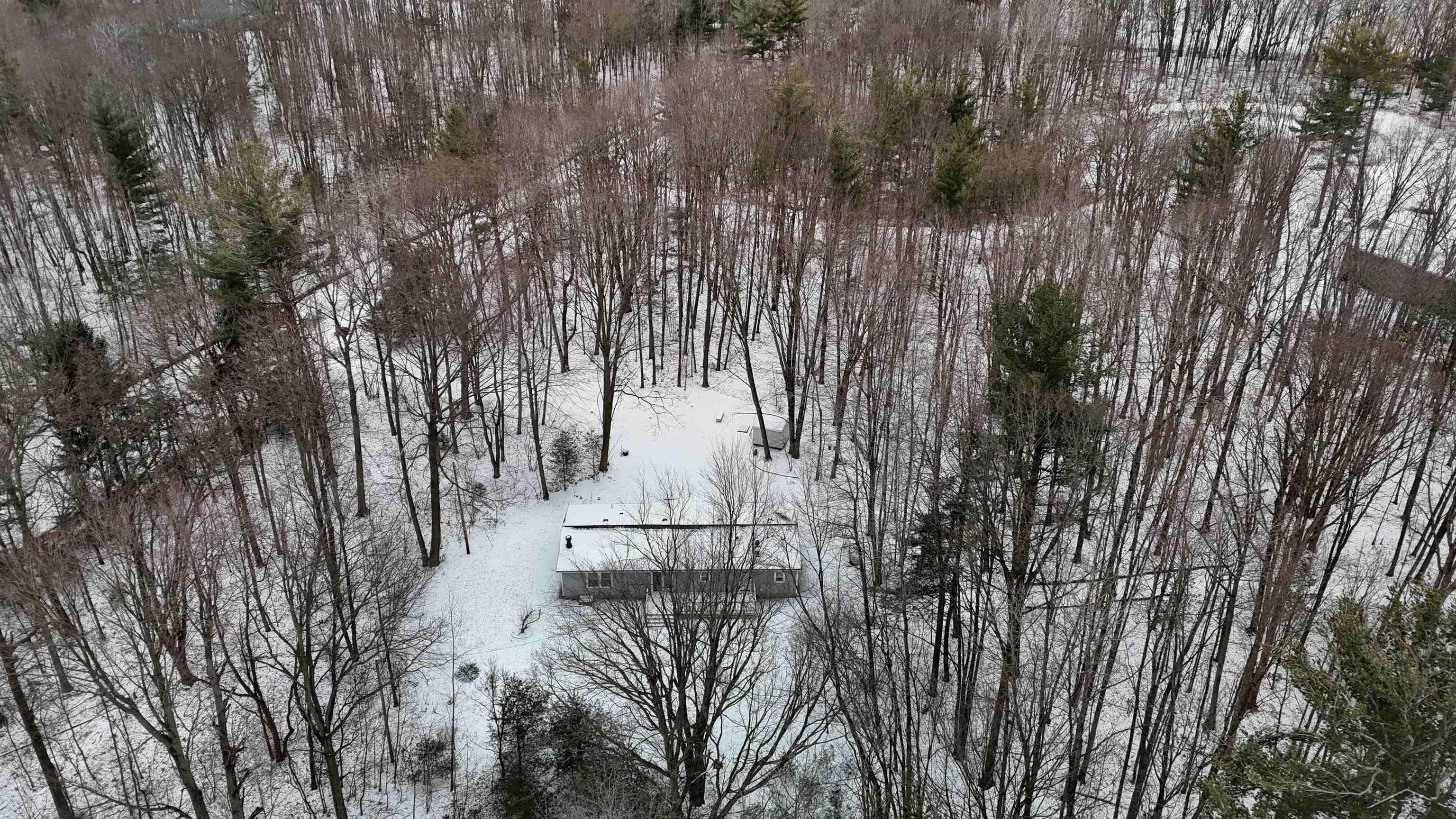 10066 South Raucholz Road Brant, MI 48614 - Photo 11 of 39 Gallery Image 11