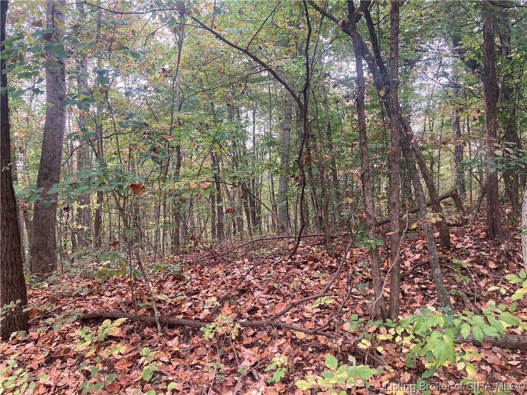 Tract 4 East Pilot Knob Road Milltown, IN 47145 - Photo 1 of 3 Gallery Image 1