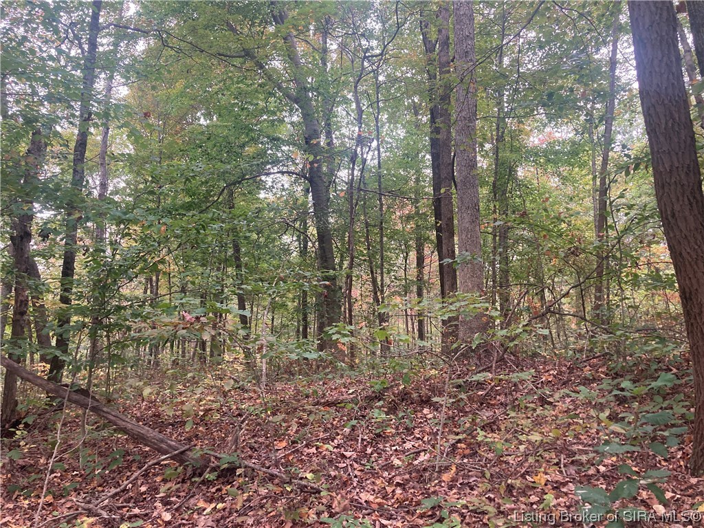 Tract 4 East Pilot Knob Road Milltown, IN 47145 - Photo 2 of 3 Gallery Image 2