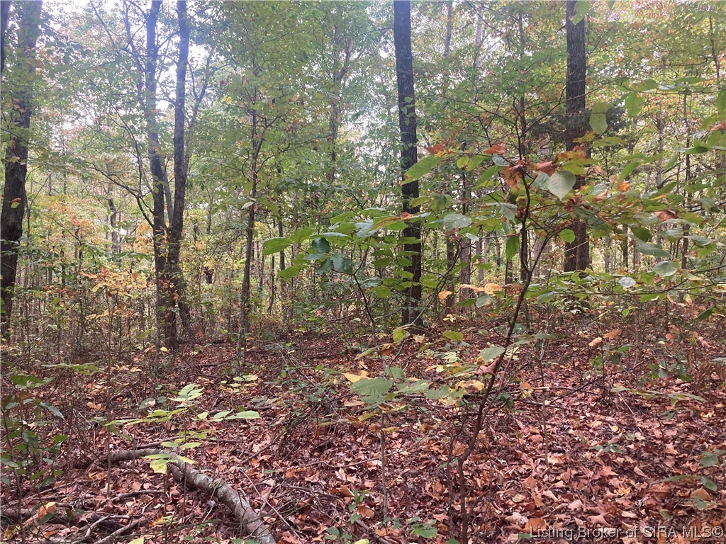 Tract 4 East Pilot Knob Road Milltown, IN 47145 - Photo 3 of 3 Gallery Image 3