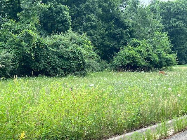 0 Oak Rdg Hills, Unit 7 Marshall, MI 49068 - Photo 3 of 6 IMG_3475