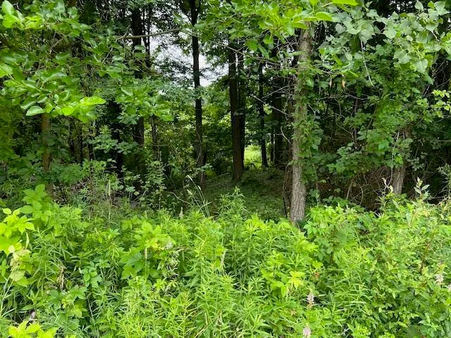 $59,900 | 0 Oak Rdg Hills, Unit 7, Marshall, MI 49068