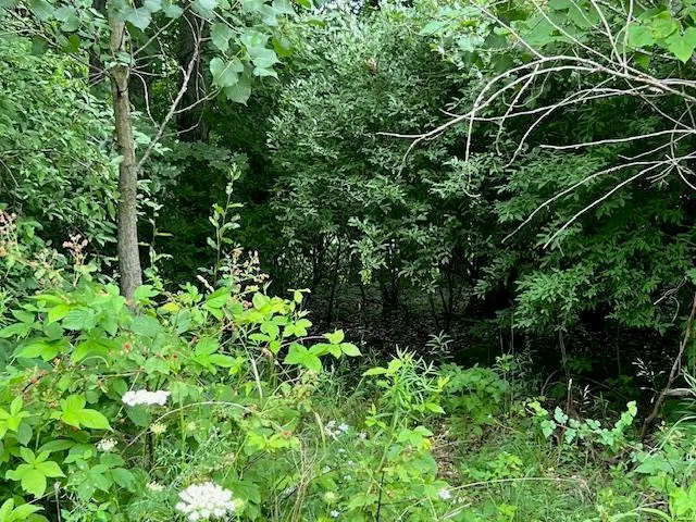 $59,900 | 0 Oak Rdg Hills, Unit 7, Marshall, MI 49068