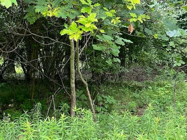 $59,900 | 0 Oak Rdg Hills, Unit 7, Marshall, MI 49068