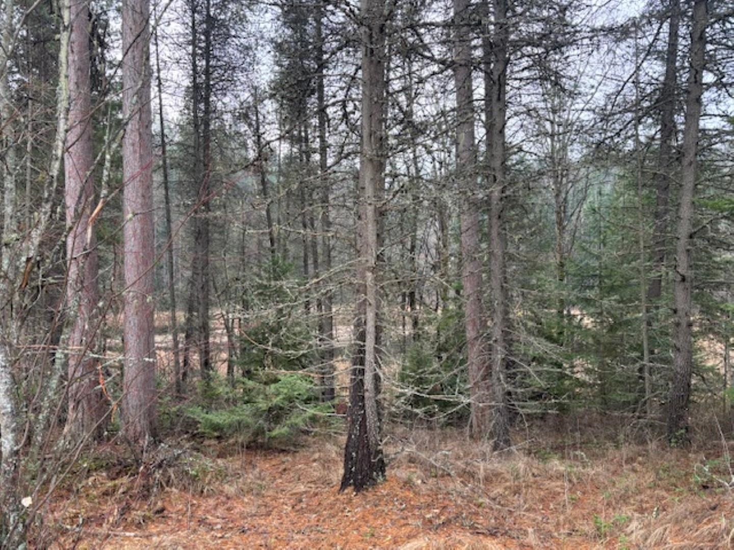 Xx South Xx S Bobier Road Newport, WA 99156 - Photo 11 of 17