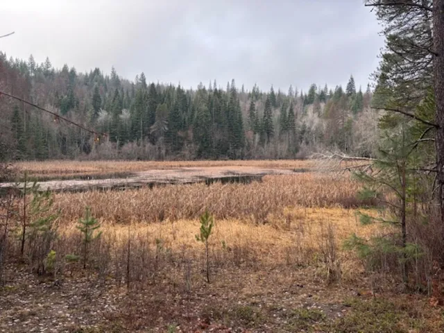 $375,000 | Xx South Xx S Bobier Road, Newport, WA 99156