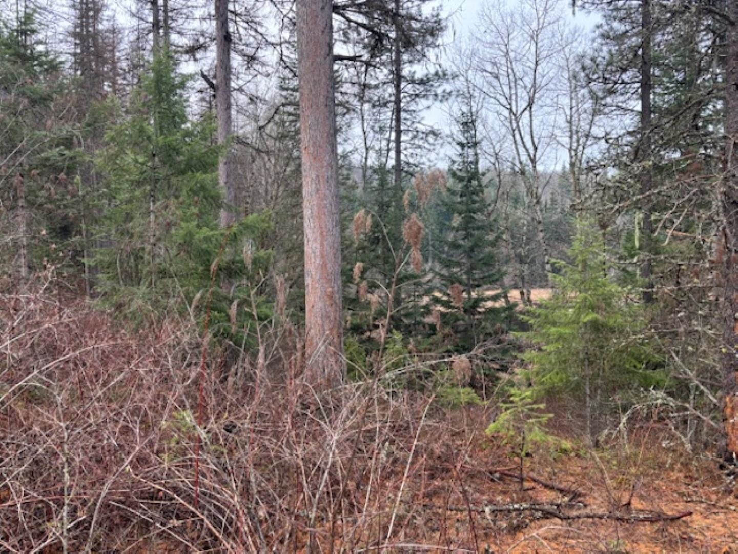 Xx South Xx S Bobier Road Newport, WA 99156 - Photo 13 of 17