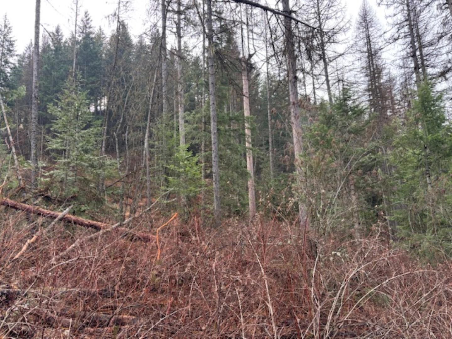 Xx South Xx S Bobier Road Newport, WA 99156 - Photo 14 of 17