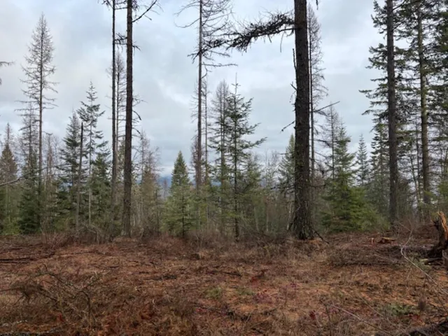 $375,000 | Xx South Xx S Bobier Road, Newport, WA 99156