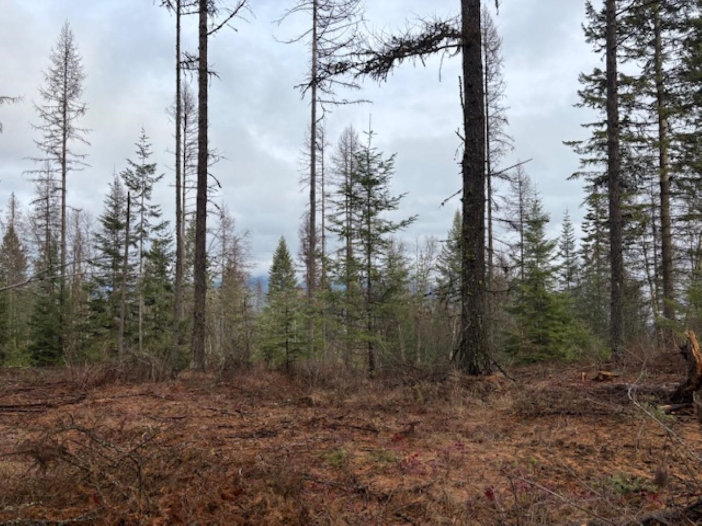 Xx South Xx S Bobier Road Newport, WA 99156 - Photo 15 of 17