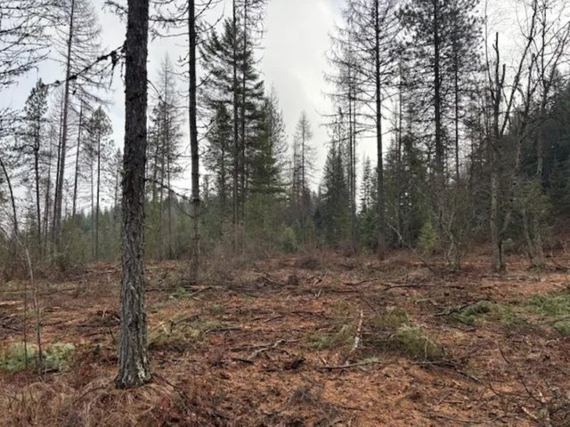 $375,000 | Xx South Xx S Bobier Road, Newport, WA 99156