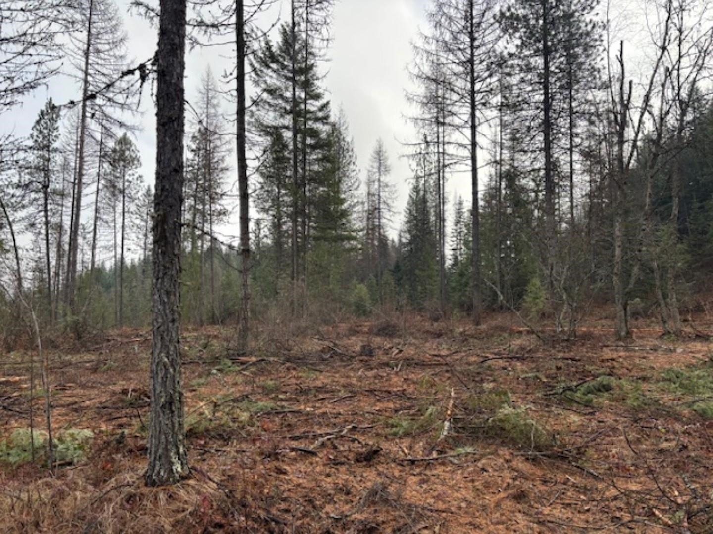 Xx South Xx S Bobier Road Newport, WA 99156 - Photo 16 of 17