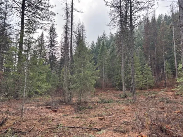 $375,000 | Xx South Xx S Bobier Road, Newport, WA 99156