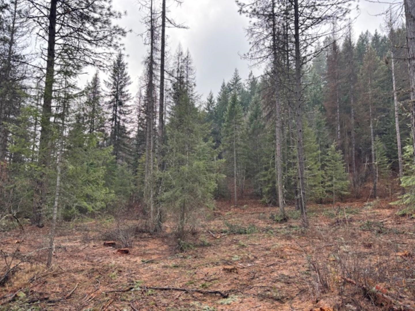 Xx South Xx S Bobier Road Newport, WA 99156 - Photo 17 of 17