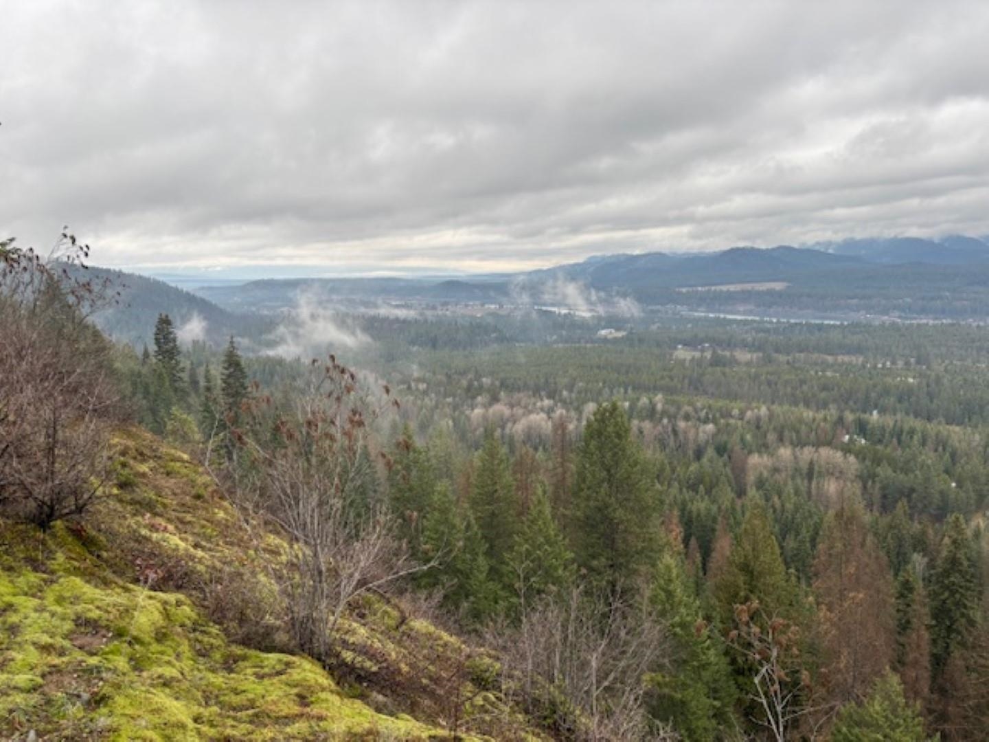 Xx South Xx S Bobier Road Newport, WA 99156 - Photo 2 of 17
