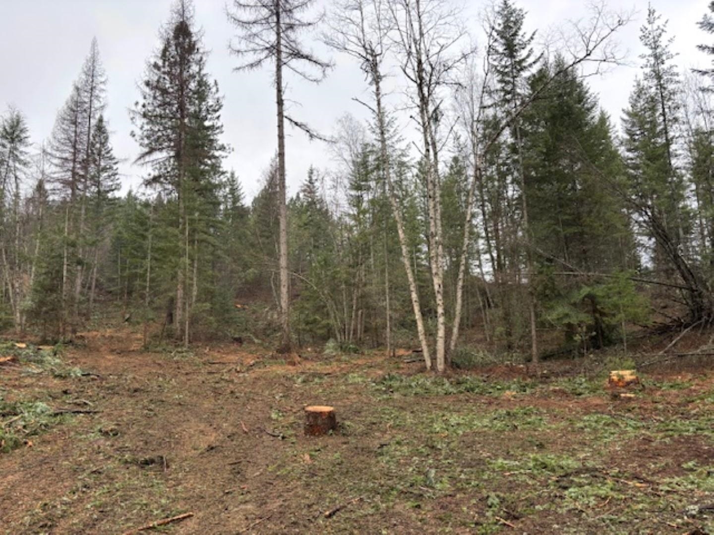 Xx South Xx S Bobier Road Newport, WA 99156 - Photo 3 of 17