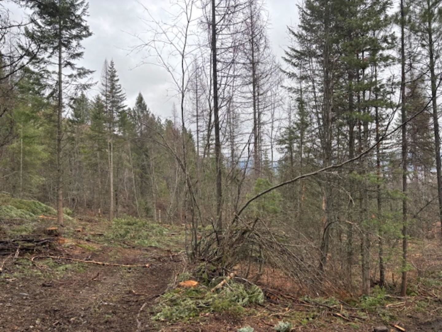 Xx South Xx S Bobier Road Newport, WA 99156 - Photo 4 of 17